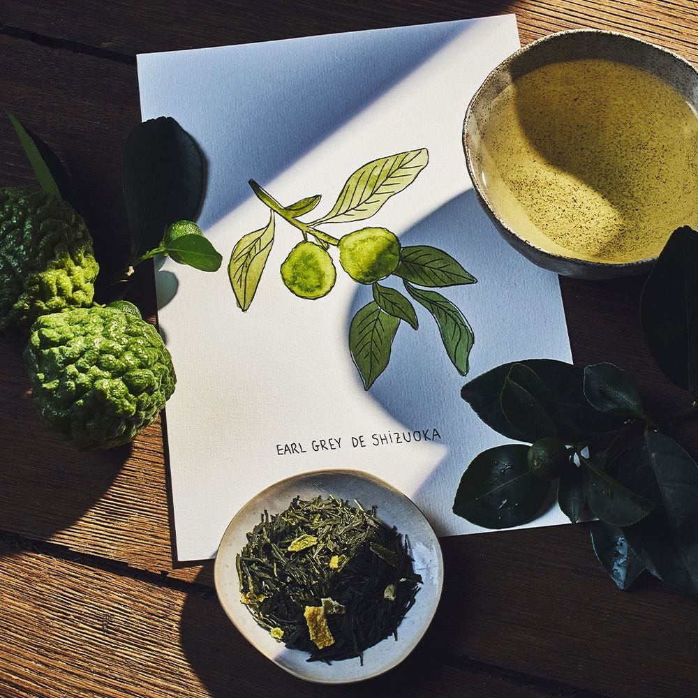Earl Grey de Shizuoka bio - 1